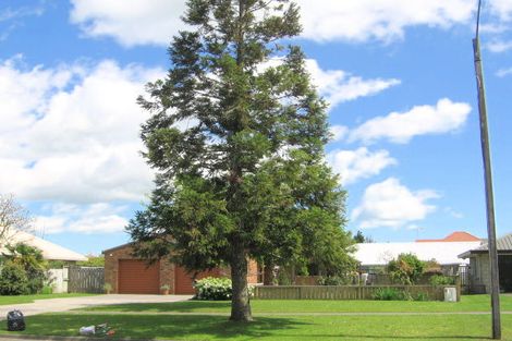 Photo of property in 77 Burwood Road, Matamata, 3400