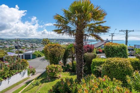 Photo of property in 19 Tamar Street, South Hill, Oamaru, 9400