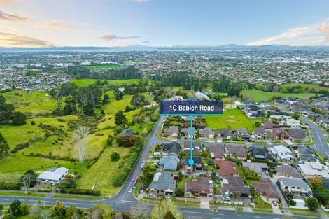 Photo of property in 1c Babich Road, Henderson Valley, Auckland, 0614