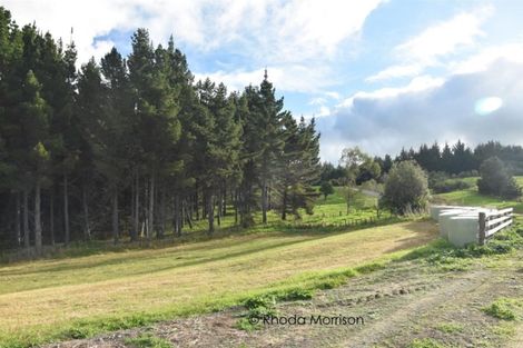 Photo of property in 196 Metcalfe Road, Matakohe, 0593