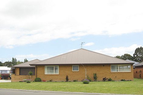 Photo of property in 8 Mckendry Street, Redwoodtown, Blenheim, 7201