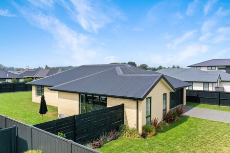 Photo of property in 10 Roxburgh Place, Tinwald, Ashburton, 7700
