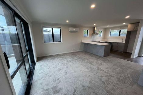 Photo of property in 48a Elizabeth Street, Levin, 5510