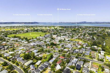 Photo of property in 99 Matipo Road, Te Atatu Peninsula, Auckland, 0610