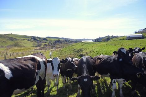 Photo of property in 871a Wainui Road, Wainui, Whakatane, 3198