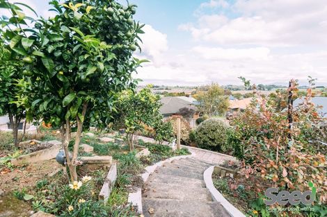 Photo of property in 96 Ayrshire Drive, Grandview Heights, Hamilton, 3200