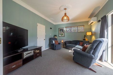 Photo of property in 8 Mcarthur Street, Terrace End, Palmerston North, 4410