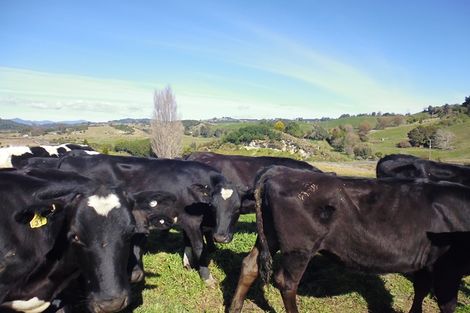 Photo of property in 871a Wainui Road, Wainui, Whakatane, 3198