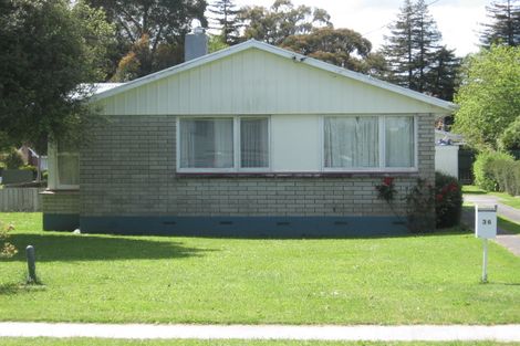 Photo of property in 36 Spencer Street, Leamington, Cambridge, 3432