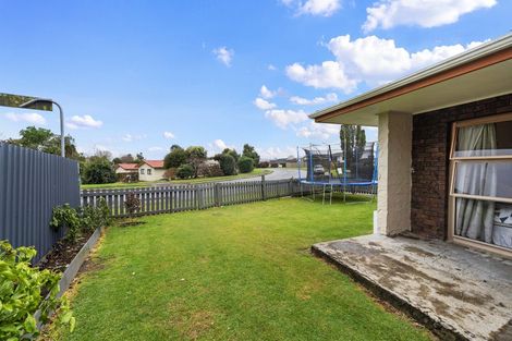 Photo of property in 157a Cameron Road, Te Puke, 3119