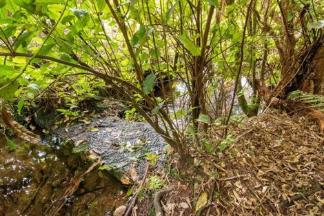 Photo of property in 49b Lloyds Lane, Oropi, Tauranga, 3173