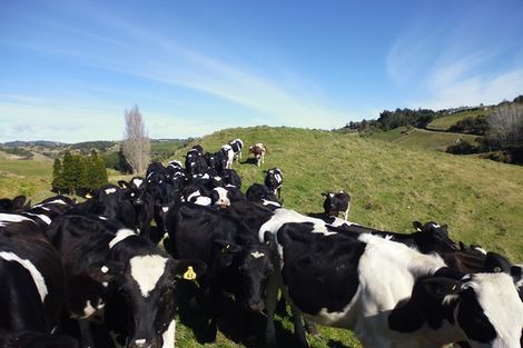 Photo of property in 871a Wainui Road, Wainui, Whakatane, 3198