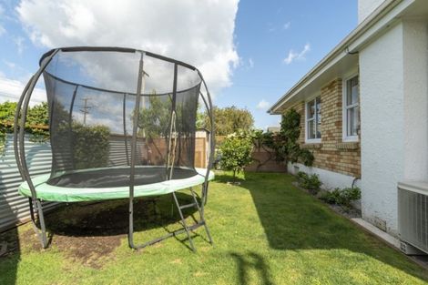 Photo of property in 63a Greerton Road, Gate Pa, Tauranga, 3112