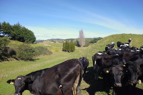Photo of property in 871a Wainui Road, Wainui, Whakatane, 3198