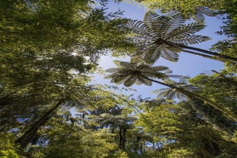 Photo of property in 425b Lund Road, Aongatete, Katikati, 3178