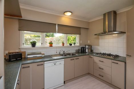 Photo of property in 53 Wyndham Street, Ashhurst, 4810