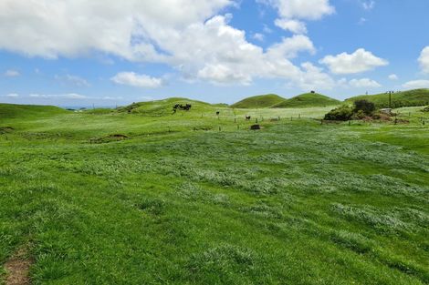 Photo of property in 6388 South Road, Pungarehu, Opunake, 4685