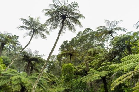 Photo of property in 11 Florence Lane, Minden, Tauranga, 3176