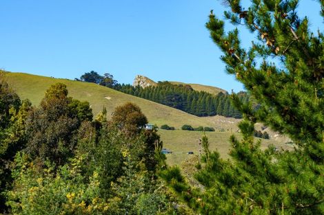 Photo of property in 224 Durham Drive, Havelock North, 4130