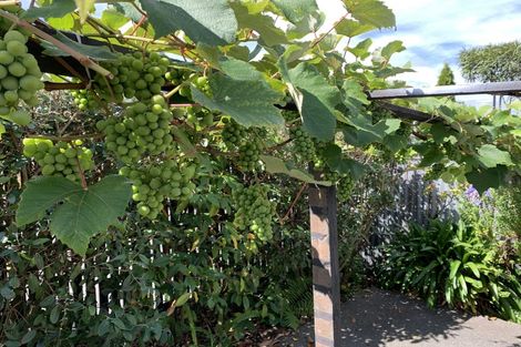 Photo of property in 1/14 North Avon Road, Richmond, Christchurch, 8013