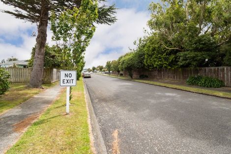 Photo of property in 50 Dewe Avenue, Feilding, 4702