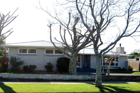 Photo of property in 111 Dittmer Drive, West End, Palmerston North, 4412