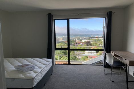 Photo of property in 22a Lachlan Avenue, North Dunedin, Dunedin, 9016