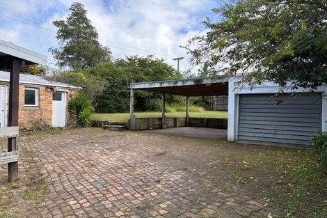 Photo of property in 55 Hutchinson Avenue, New Lynn, Auckland, 0600