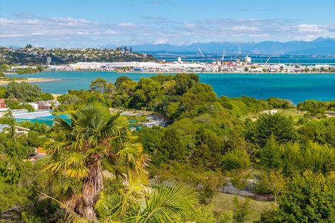 Photo of property in 23a Walters Bluff, Atawhai, Nelson, 7010