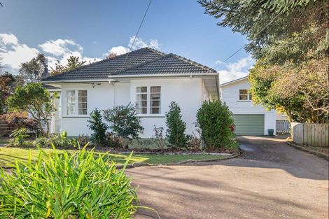 Photo of property in 29 Macarthur Street, Levin, 5510