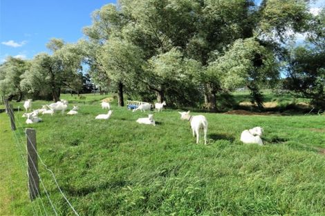 Photo of property in 236 Biggs Road, Richmond, Oamaru, 9493