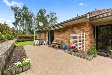 Photo of property in 17 Kendall Place, Flagstaff, Hamilton, 3210