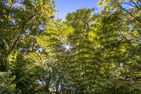 Photo of property in 136c Bradford Street, Waihi, 3610