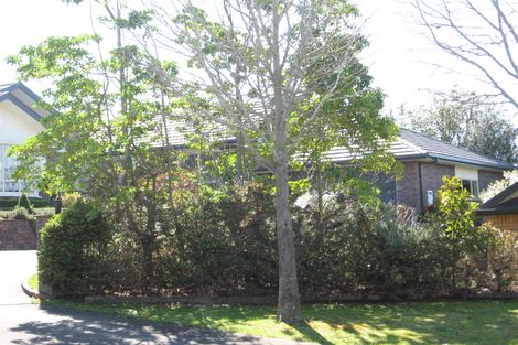 Photo of property in 8 Lanark Place, Bethlehem, Tauranga, 3110