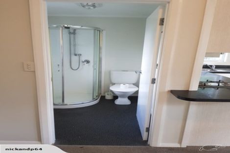 Photo of property in 21 Kitchener Street, Claudelands, Hamilton, 3214