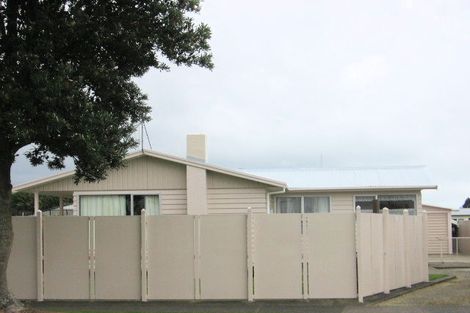 Photo of property in 15 Grenville Street, Levin, 5510