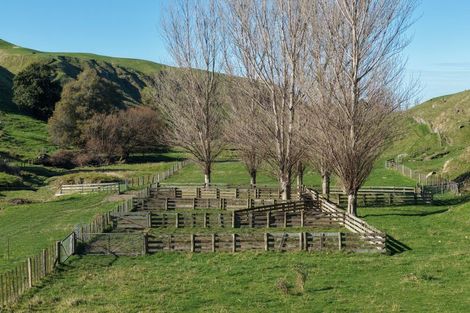 Photo of property in 717 Puketitiri Road, Puketapu, Napier, 4182