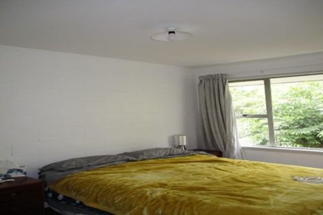 Photo of property in 3/34a Harman Street, Addington, Christchurch, 8024