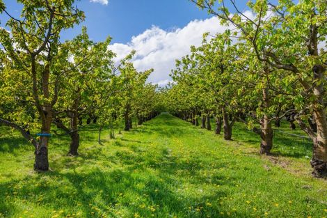 Photo of property in 25 Blackman Road, Blackmans, Alexandra, 9391