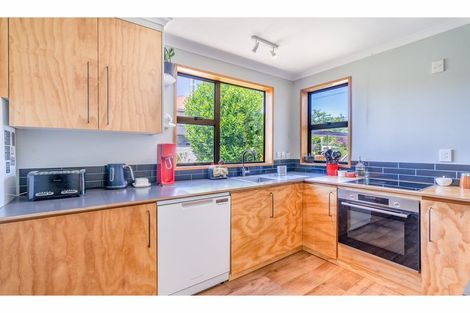 Photo of property in 17 Fastnet Street, Alexandra, 9320