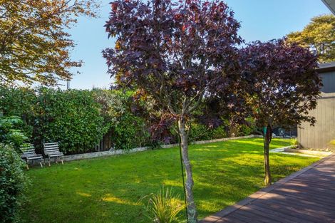 Photo of property in 31 Mcmaster Street, Greytown, 5712