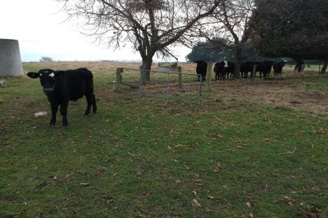 Photo of property in 6 Lot Rc, 280 Homestead Road, Weston, Oamaru, 9491