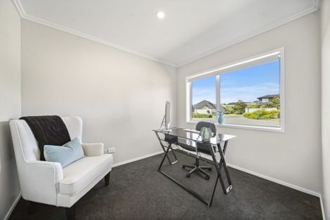 Photo of property in 42 Sovereign Street, Flat Bush, Auckland, 2019