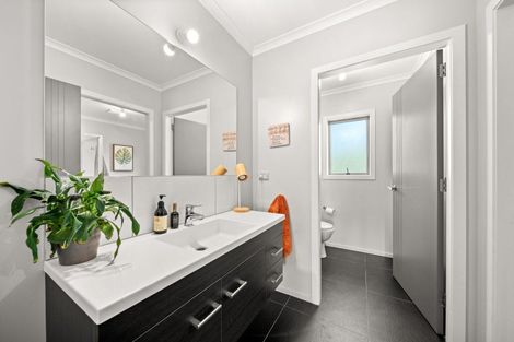 Photo of property in 395 Te Kopi Road, Te Whiti, Masterton, 5884