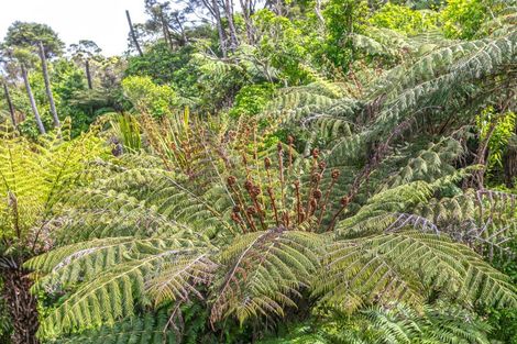 Photo of property in 119 Collarbone Road, Thames, 3500