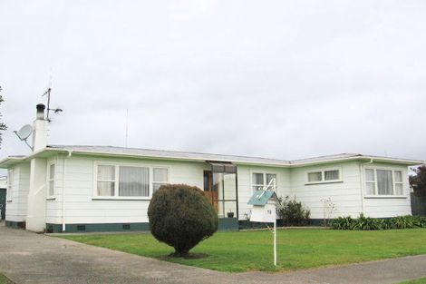 Photo of property in 19 Dewe Avenue, Feilding, 4702