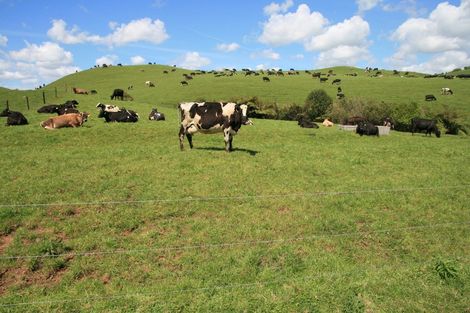 Photo of property in 888a Otaraoa Road, Tikorangi, Waitara, 4383