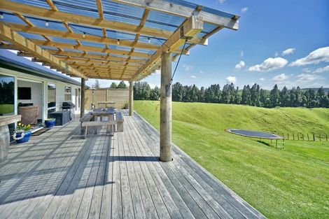 Photo of property in 1160 No 2 Road, Te Ranga, Te Puke, 3182