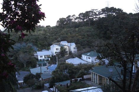Photo of property in 13 Mortimer Terrace, Aro Valley, Wellington, 6021