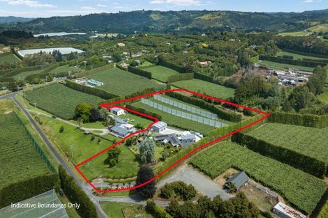 Photo of property in 21 Anderson Lane, Whakamarama, Tauranga, 3172